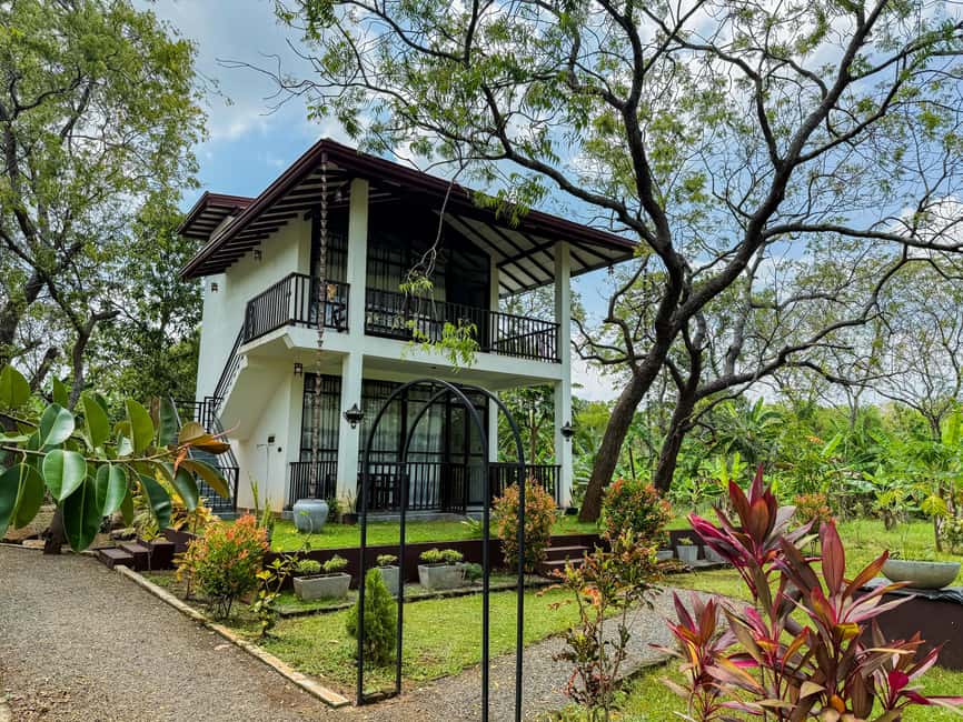 Budget Yala Safari with Accomadation & Meals Included - Arriving at Go Yala Hostel in Tissamaharama
