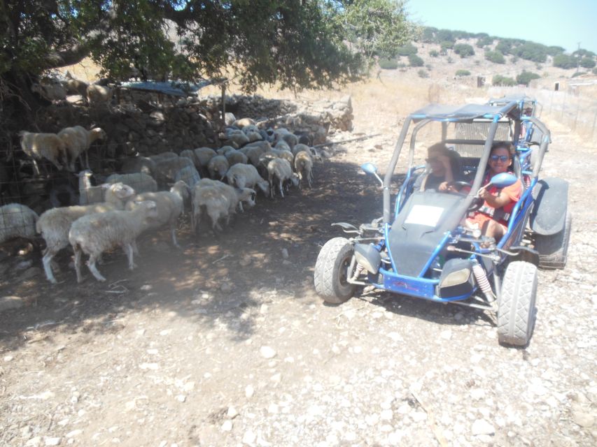 Buggy safari Crete (Transfer and lunch) analipsi- hersonisos - Lunch at a traditional taverna
