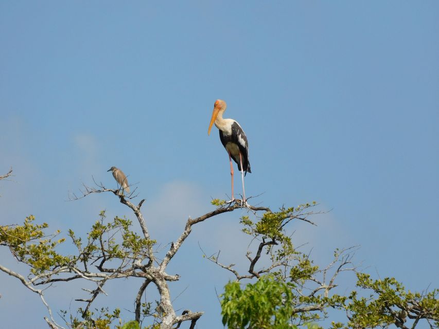 Bundala National Park Safari (PRIVATE TOURS) - Birdwatching with a real purpose