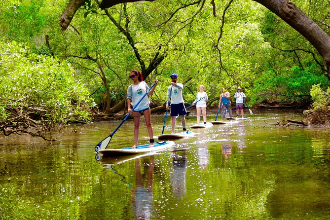 Byron Bay Wildlife Safari - Rainforest walking and smaller surprises