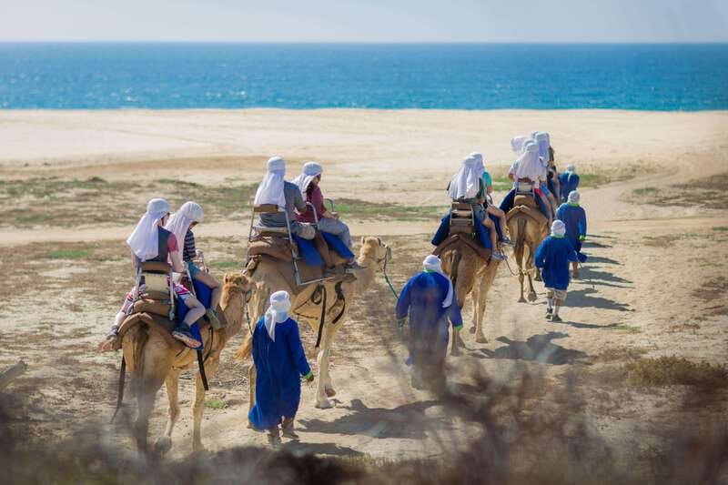Cabo San Lucas: Camel Safari Tour with Lunch and Tequila - Key points before you book