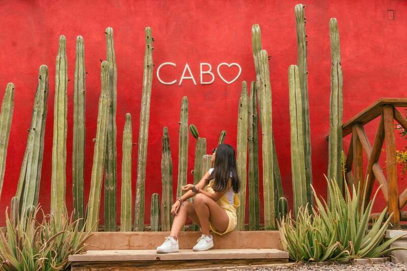 Cabo San Lucas: Camel Safari Tour with Lunch and Tequila - A camel ride with a Pacific Ocean backdrop