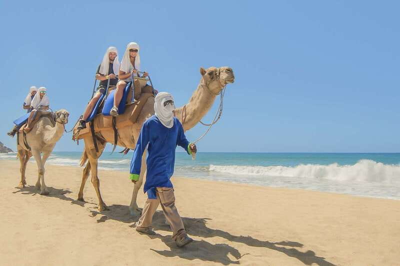 Cabo San Lucas: Camel Safari Tour with Lunch and Tequila - The desert walk adds more than scenery