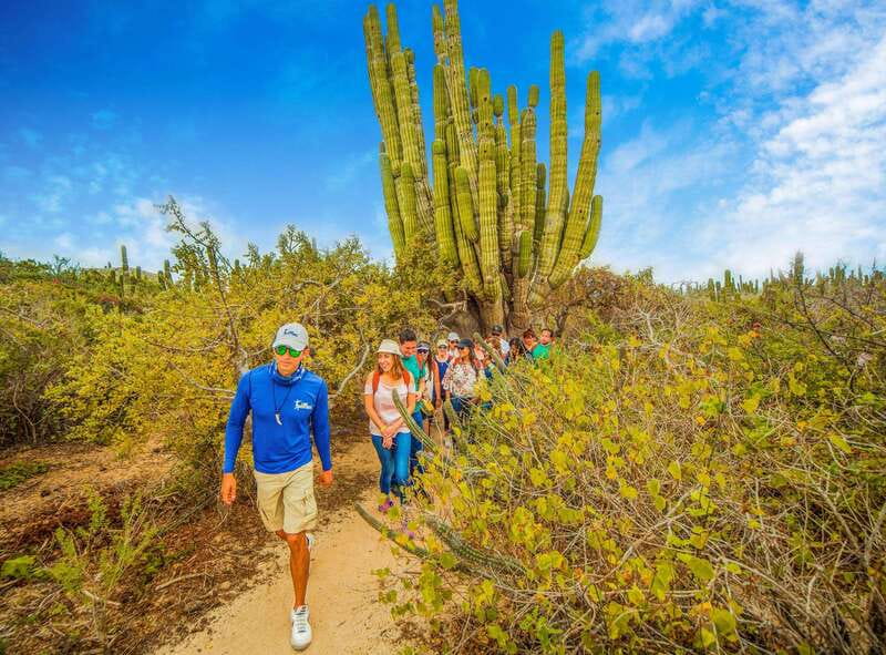Cabo San Lucas: Camel Safari Tour with Lunch and Tequila - Is $99 a fair price?