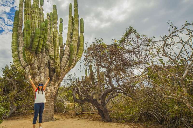 Cabo San Lucas: Camel Safari Tour with Lunch and Tequila - What to pack and what to leave behind