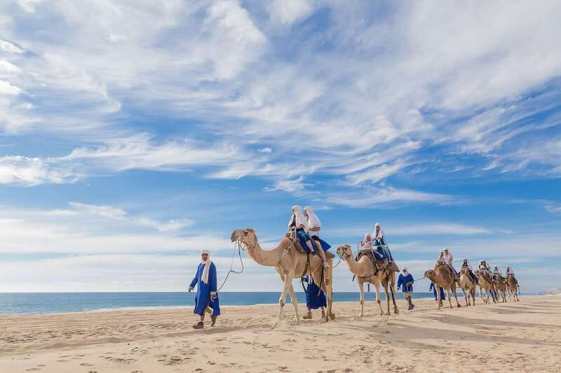 Cabo San Lucas: Camel Safari Tour with Lunch and Tequila - What the 20-minute ride is really like