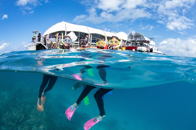 Cairns Trinity Inlet Sightseeing Safari - Who should take this Cairns cruise?