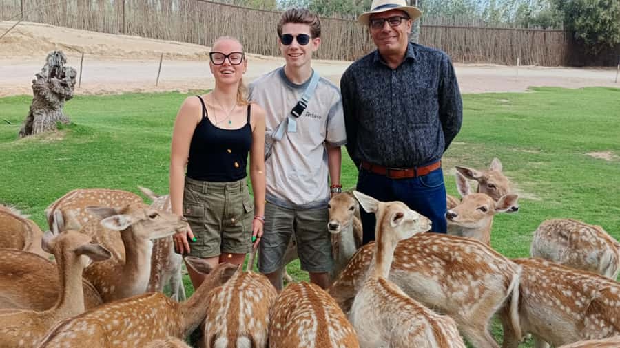 Cairo: Guided Day Trip to Africa Safari Park with Lunch - Reptiles, falcons, and smaller animals