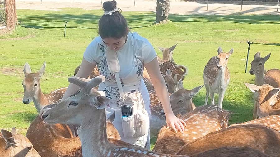 Cairo: Guided Day Trip to Africa Safari Park with Lunch - Fishing, table tennis, and football