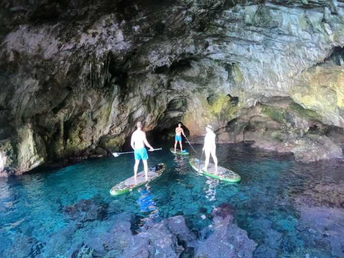 Cala Ratjada: SUP SAFARI TOUR 2H - Learning the basics before you leave shore