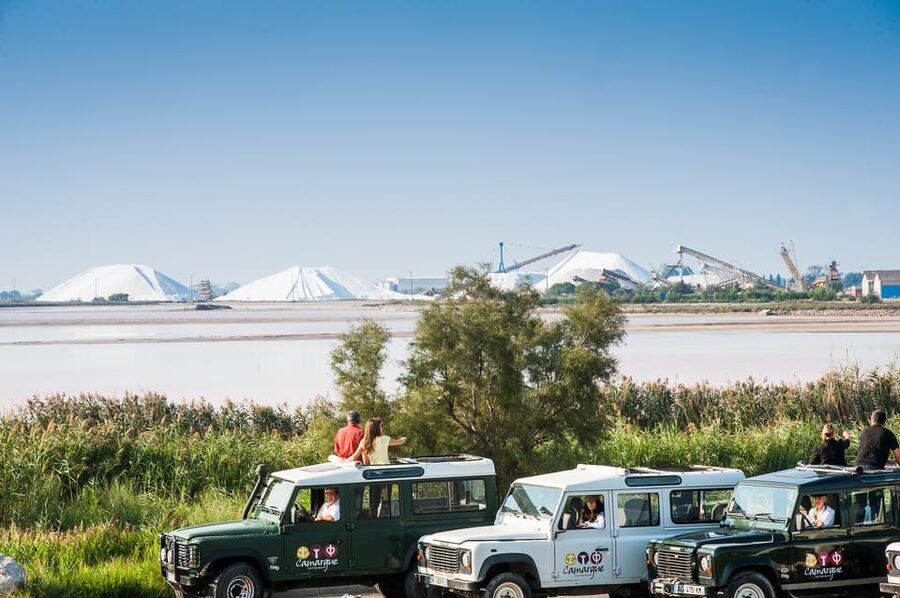 Camargue: Half-Day 4x4 Guided Safari Adventure - FAQ