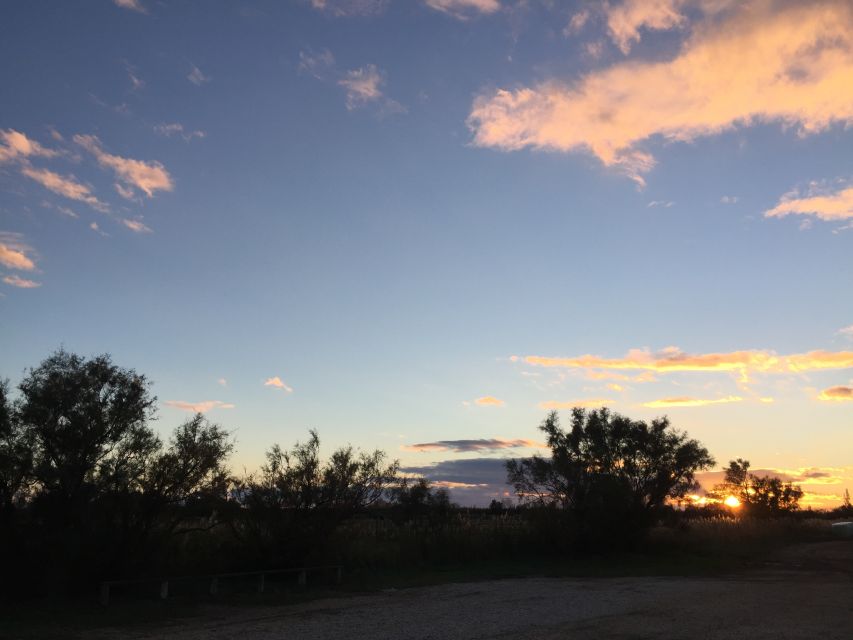 Camargue: Safari from Saintes-Maries-de-la-Mer - Guides make the difference