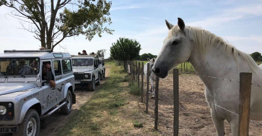 Camargue: Safari from Saintes-Maries-de-la-Mer - Leaving Saintes-Maries-de-la-Mer for open country