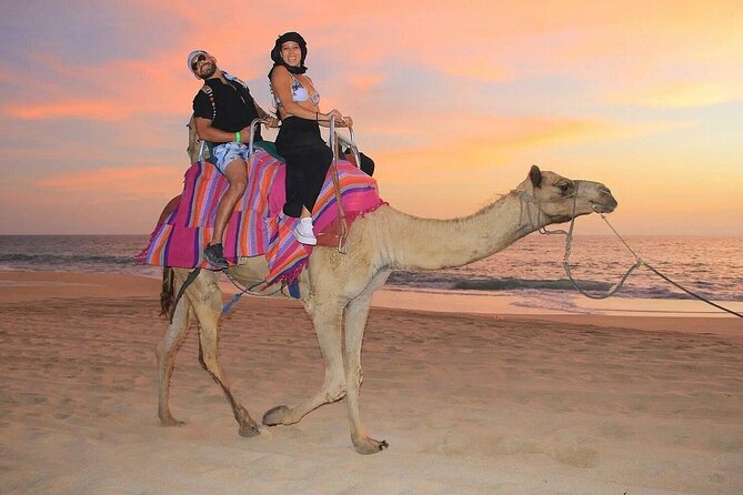 Camel Encounter and Safari Ride with Lunch and Alcohol Tasting - A camel ride beside Cabo’s Pacific waves