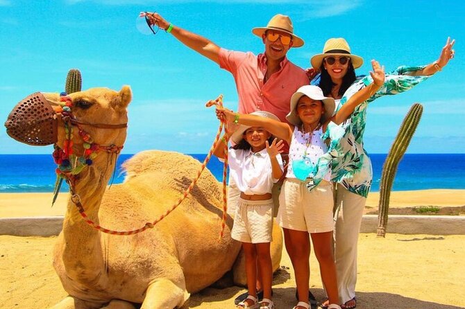 Camel Encounter and Safari Ride with Lunch and Alcohol Tasting - The phone and photo issue deserves your attention