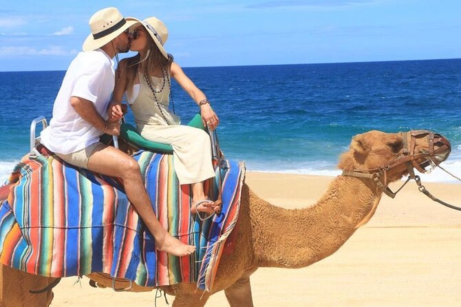 Camel Encounter and Safari Ride with Lunch and Alcohol Tasting - Transportation and the two-hour schedule