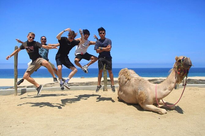 Camel Encounter and Safari Ride with Lunch and Alcohol Tasting - Price, extra charges, and what the experience is worth