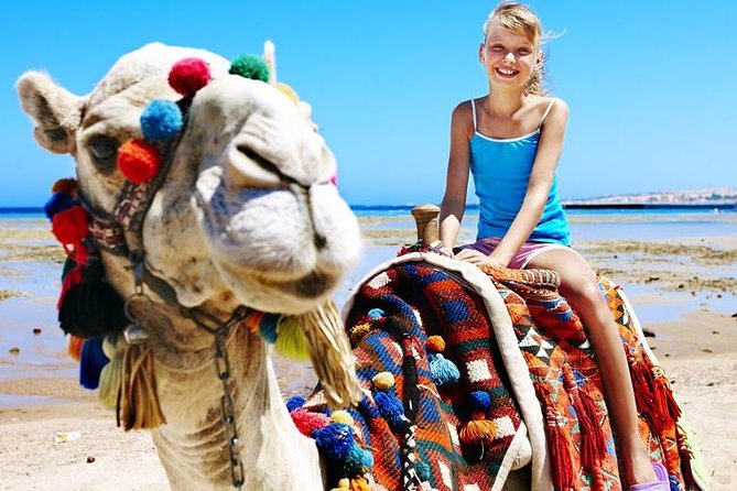 Camel Encounter and Safari Ride with Lunch and Alcohol Tasting - Who will enjoy this Cabo outing most