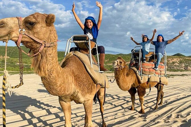 Camel Encounter and Safari Ride with Lunch and Alcohol Tasting - The beach ride: scenic, short, and a little bumpy