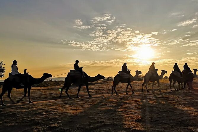 Camel Safari in Cappadocia - What the one-hour camel ride feels like