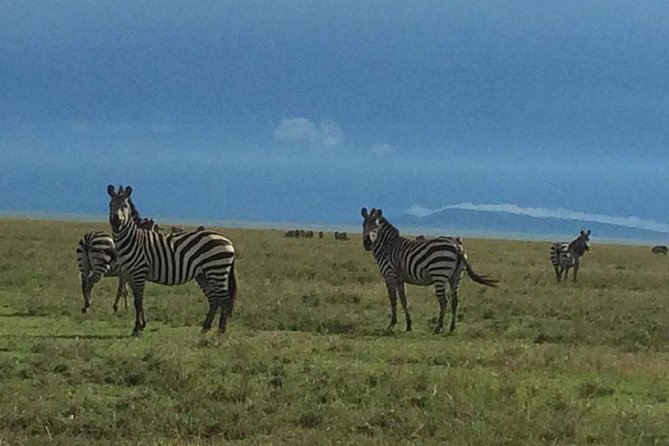 Camping to Serengeti & Ngorongoro Premium Parks - The practical cost of a three-day safari