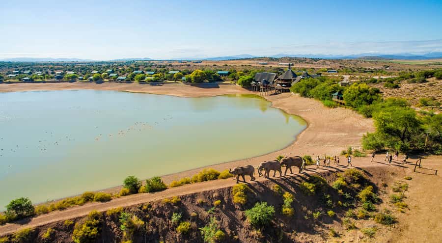 Cape Town: 2-Day Wildlife Tour with Safaris and Luxury Stay - What makes this two-day safari worth considering