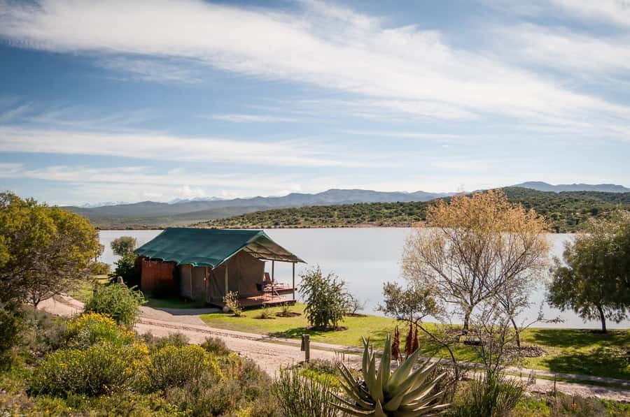 Cape Town: 2-Day Wildlife Tour with Safaris and Luxury Stay - Who should book this experience?