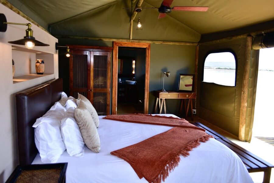 Cape Town: 2-Day Wildlife Tour with Safaris and Luxury Stay - Day two: a closer look at the Klein Karoo