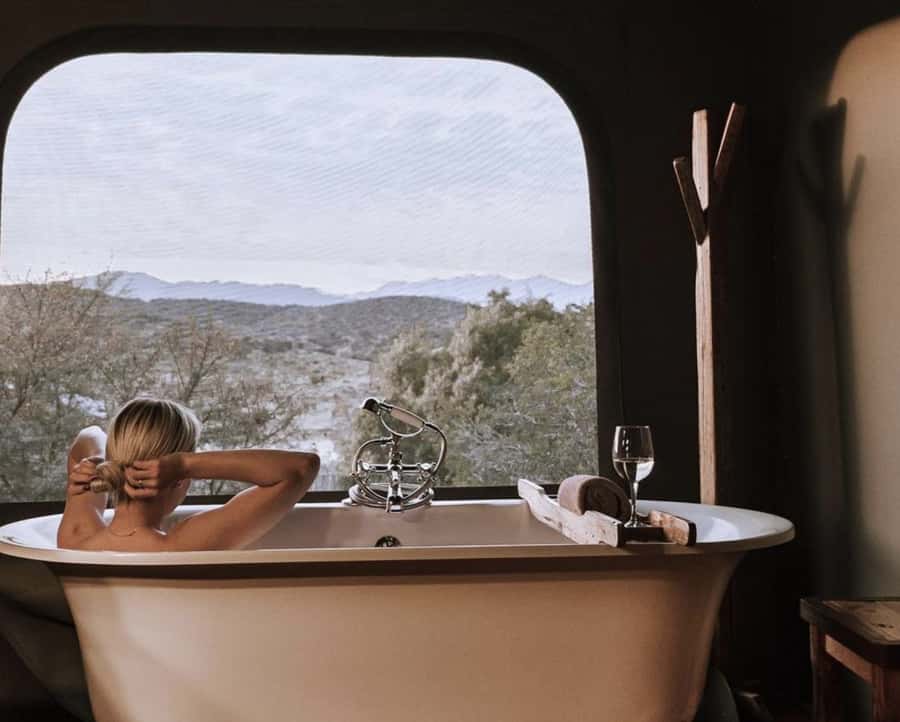 Cape Town: 2-Day Wildlife Tour with Safaris and Luxury Stay - Route 62 turns the return into a road trip