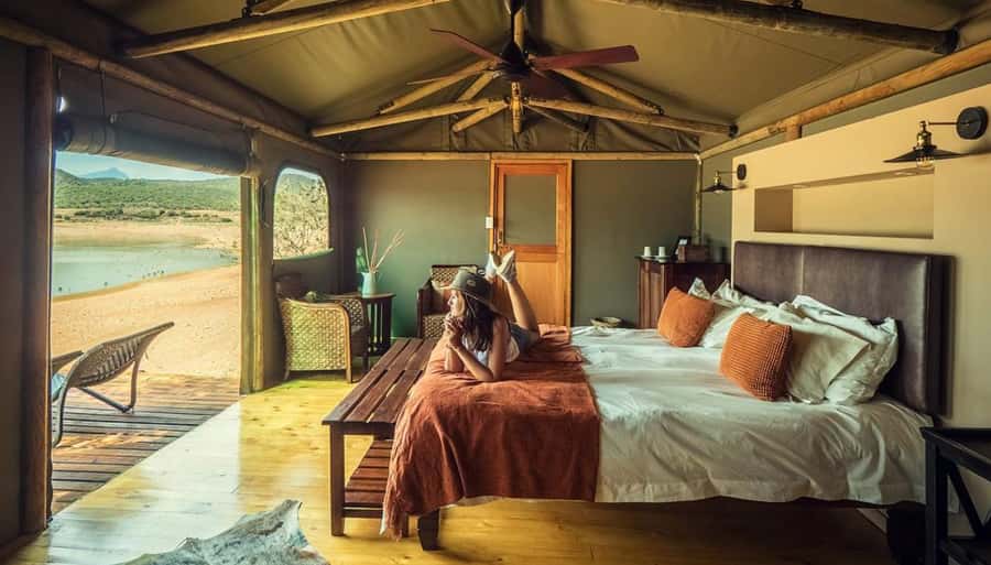 Cape Town: 2-Day Wildlife Tour with Safaris and Luxury Stay - Day one: from Cape Town to Botlierskop