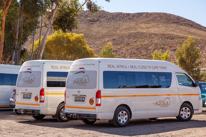 Cape Town Aquila Afternoon Safari with transport and lunch - Welcome drink and lunch before the wildlife drive
