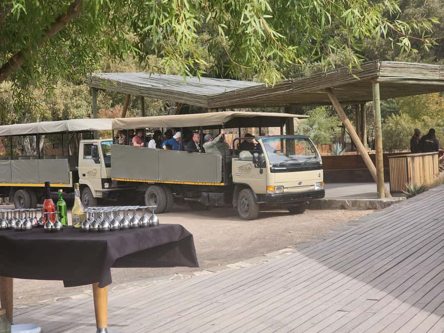 Cape Town big five safari with transport lunch Excl park fee - Timing, comfort, and what to pack