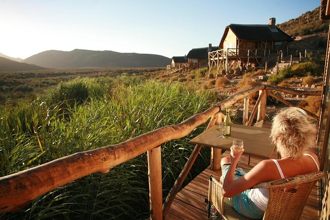 Cape Town Day Safari - The 2 to 3-hour open-vehicle game drive