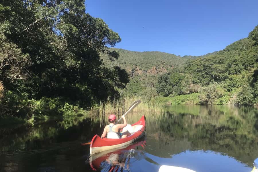 Cape Town: Garden Route and Addo Elephant Park 6-Day Safari - Key points to know before booking