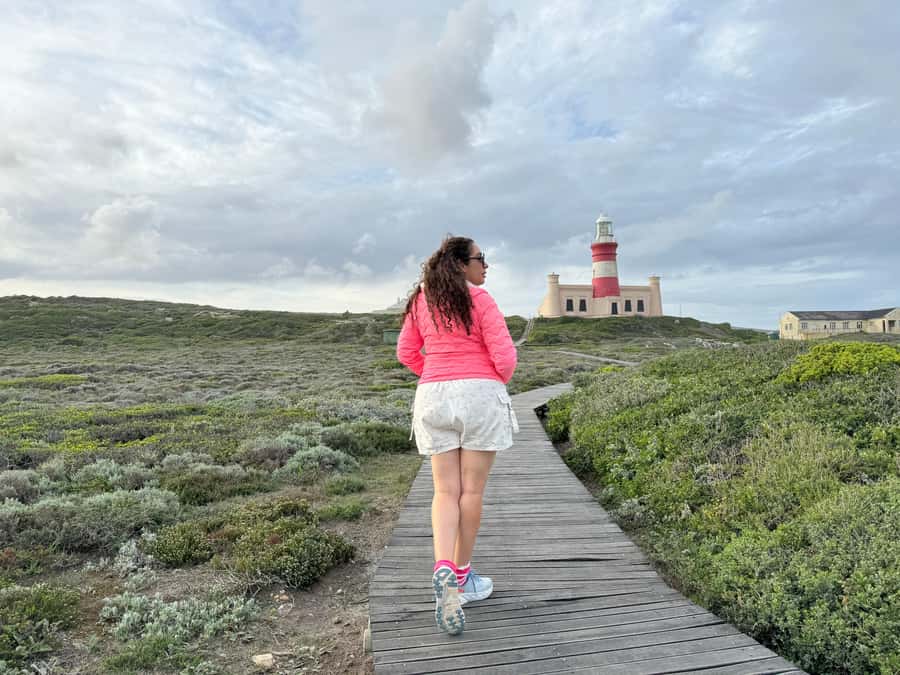 Cape Town: Garden Route and Addo Elephant Park 6-Day Safari - Day five: the Addo safari and the return to the coast