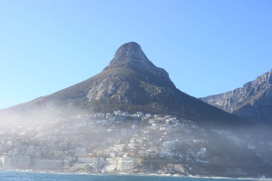 Cape Town: Marine Big 5 Ocean Safari from V&A Waterfront - Key points to know before you book