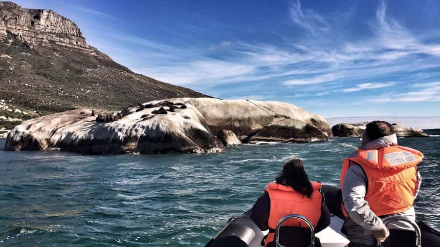Cape Town: Marine Big 5 Ocean Safari from V&A Waterfront - Who should book this ocean safari?
