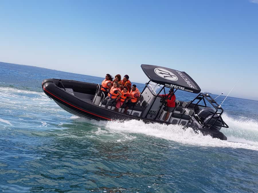 Cape Town Ocean Safari: Speed Boat Adventure in Table Bay - Slowing down to search for wildlife