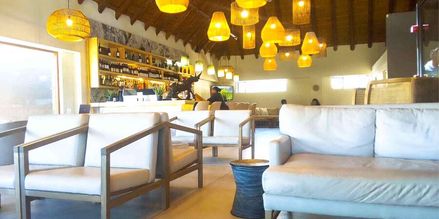 Cape Town: Private Aquila Reserve Safari with Winery Lunch - Who will enjoy this 10-hour outing