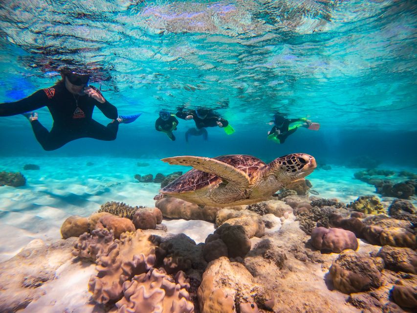 Cape Tribulation Ocean Safari - Great Barrier Reef Adventure - Weather, tides, and the limits of a reef day