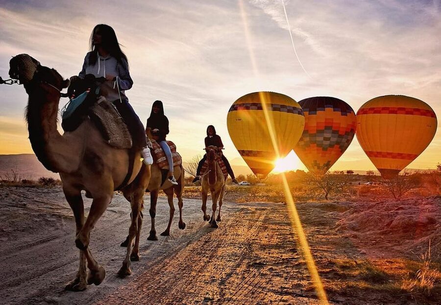 Cappadocia: Camel Safari - Should you book it?