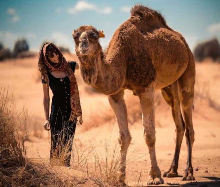 Cappadocia: Camel Safari Tour with Transfer - What the one-hour camel ride is really like