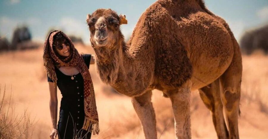 Cappadocia: Camel Safari Tour with Transfer - Weather, clothing, and timing
