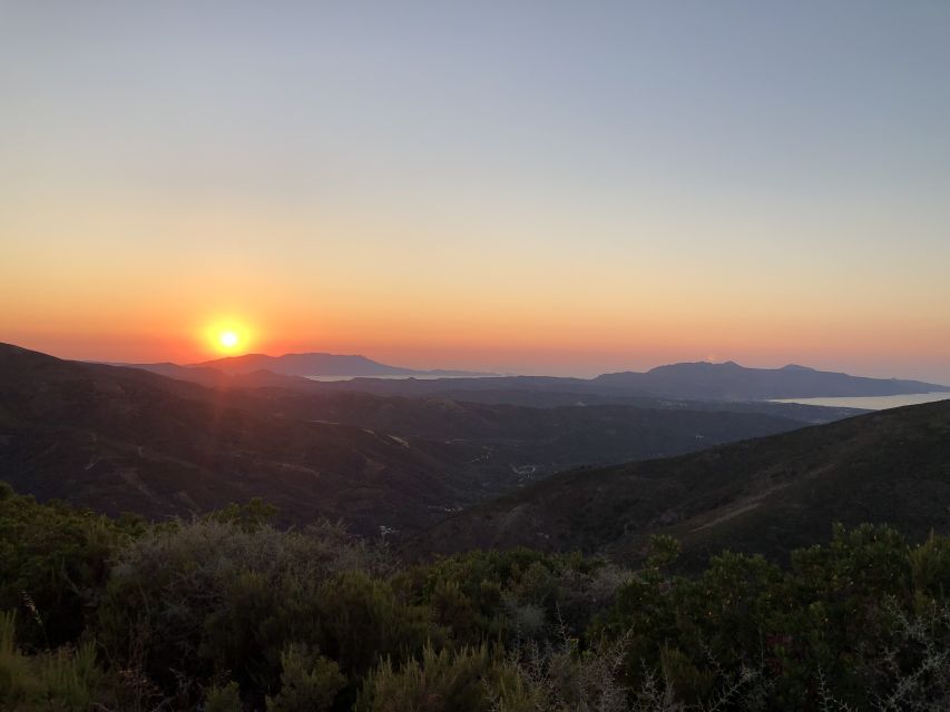 Chania 4x4 Sunset Safari Tour - Meze and wine in a family tavern