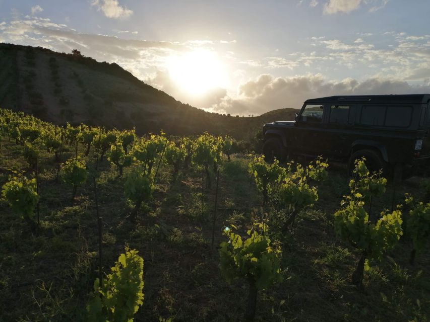 Chania 4x4 Sunset Safari Tour - Who should book it