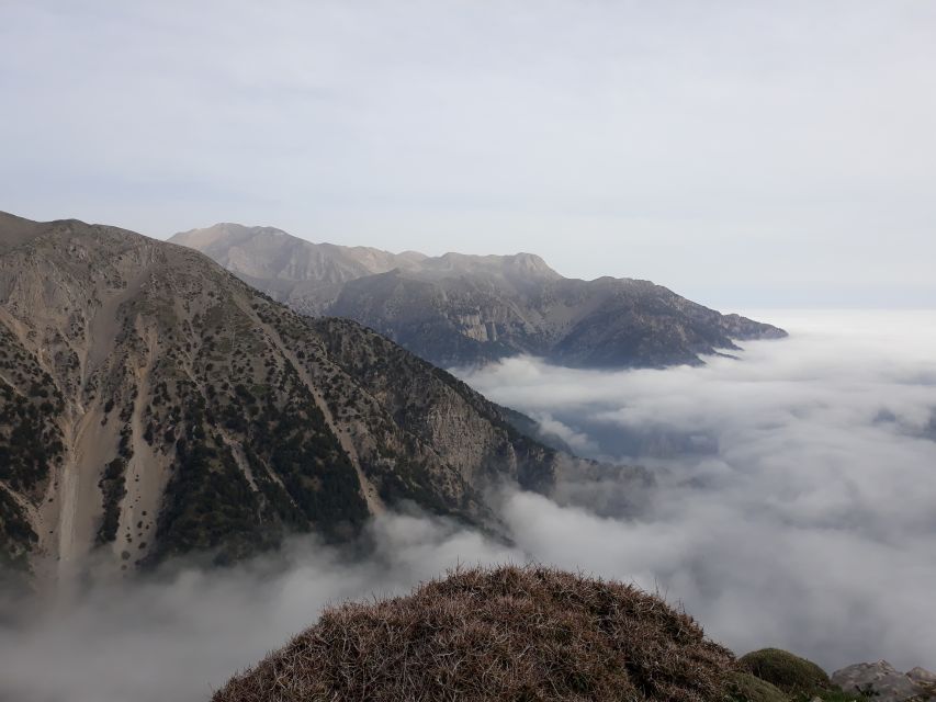 Chania: White Mountains Safari Tour with Lunch and Tastings - Key points to know before booking