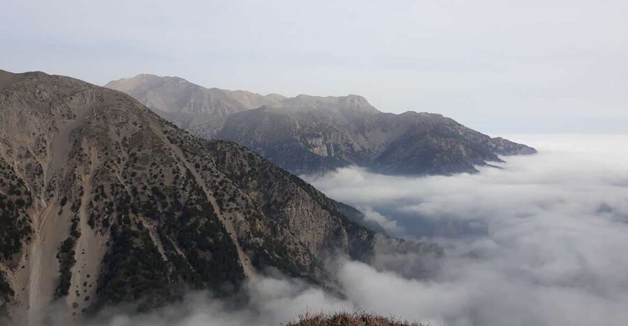 Chania: White Mountains Safari Tour with Lunch and Tastings - From Chania’s orchards to the White Mountains