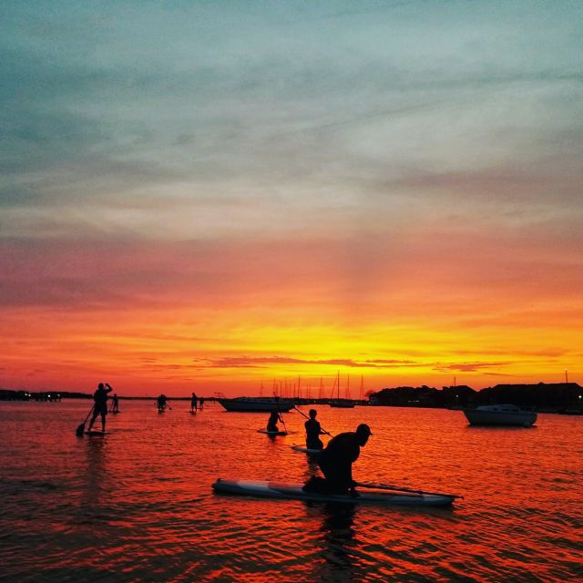 Charleston: Folly Beach Stand Up Paddleboard Dolphin Safari - Your two hours on the water