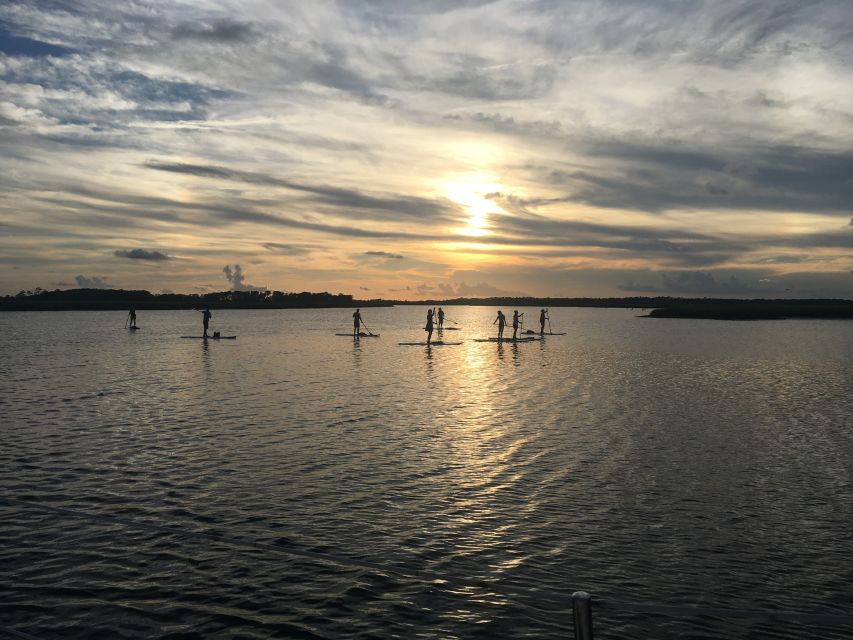 Charleston: Folly Beach Stand Up Paddleboard Dolphin Safari - How difficult is stand up paddleboarding here?