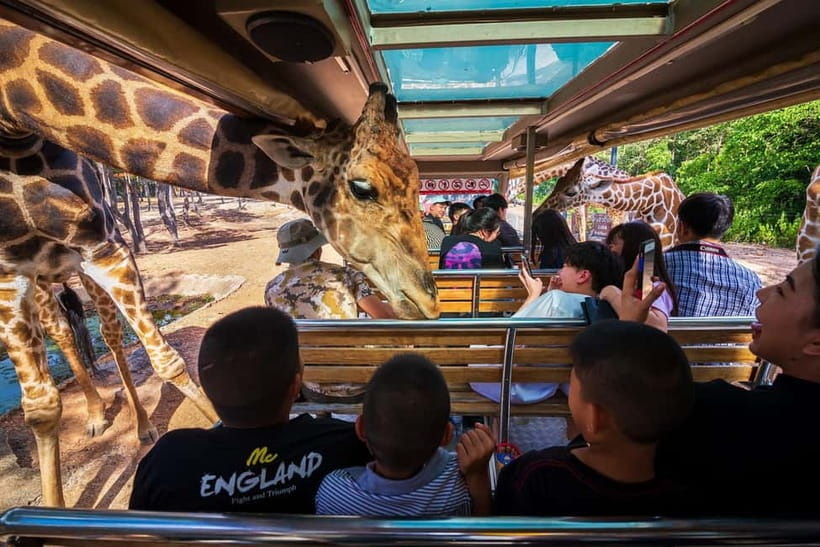 Chiang Mai Night Safari Ticket & Tram Rides Optional Pickup - Walking trails at your own pace